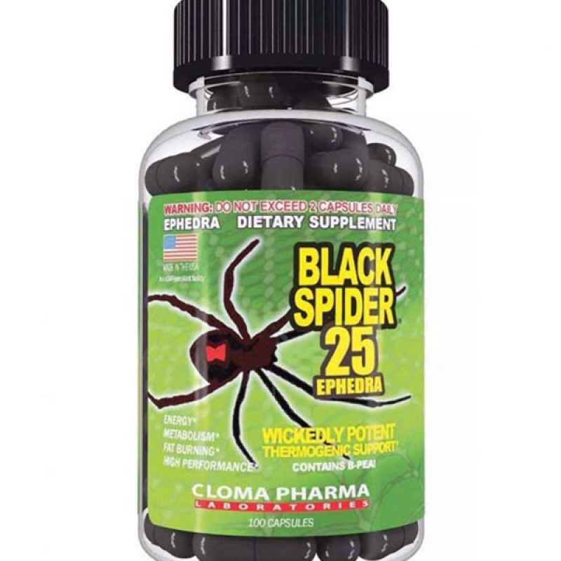 black-spider-1-600px